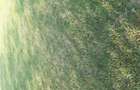 Vand teren intravilan - 1