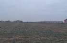Teren intravilan Dragomiresti-Deal, Str. Ulmului, 3400mp - 2