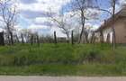 Teren de vanzare intravilan - 8