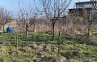 Teren intravilan 609 mp Vidra, deschidere 24 m, ideal pentru construc?ie - 3