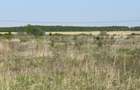 Teren intravilan, 500/900mp, zona Grigorescu 2 - 3