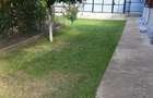 Casa cu teren Casin, Bacau