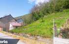 Casa de vanzare in Toplet, Caras-Severin - 4