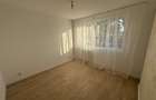 Apartament 2 camere Grivita, Titulescu, Banu Manta, Basarab, proprietar - 8