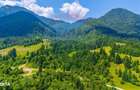 Natura 18.900 mp in Sacele, cu rau si priveliste montana