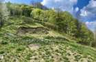 Teren vedere panoramica lac Paltinu si dealuri impadurite in Valea Dof - 12