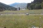 Teren 1000mp Cheia-Prahova-Valea Stanii-Telejenel - 6