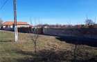 Vand teren in loc. Secusigiu 2900 mp,la sosea - 7