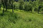 Vand teren intravilan - 8