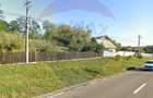 Teren Intravilan Podi? / Calea Moine?ti - 3