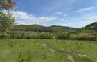 Teren intravilan 8330 mp de vanzare in Inuri Jud Alba