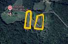 Teren extravilan ?erani Borod Bihor 2,5 ha - 2