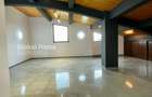 Apartament 3 camere 175MP | Straulesti | 4 locuri de parcare subterane | - 9