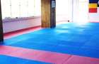 Inchiriez intervale orare pentru arte martiale,yoga,aerobic,gimnastica,etc - 2