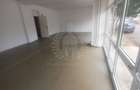 SPATIU COMERCIAL//ZONA DE VEST//PIATA COCOS - 4