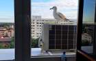 Apartament 3 camere, balcon, Bucure?tii Noi - 1