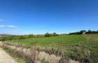 Teren de vanzare in Adancata 43 ari - pretabil ansamblu imobiliar - 8