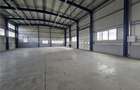 Spatiu Industrial - 600 mp - Depozitare - Distributie - 3