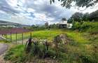 Teren 603 mp cu proiect de casa autorizat Corunca, str. Crinului - 7