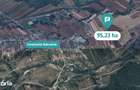 Teren extravilan 95.23 ha langa Caransebe?