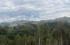 Teren cu panoramic Poiana Marului - 11