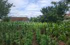 Teren intravilan 1000mp, zona Magura Sohodol