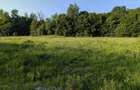 Loturi teren PUZ aprobat 2100/2500mp - Strada Cheia - vis a vis Camping Cheile Rasnoavei