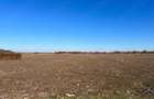 Teren de 40000 mp, în Letca Nouă - 2