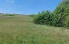 Teren de 8000 mp, în Felcheriu - 1