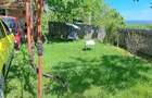 Casa batraneasca,35000 - 3