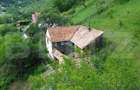 Casa tradi?ionala - o investi?ie cu poten?ial de dezvoltare, Capalna, Sasciori - 11