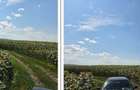 Teren Golaiesti ID: R3402828
