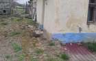 Casă cu Teren 120 Mp în Cenaloș - 3