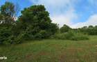 Domeniu de 13.054 mp cu vila de ~1.000mpc si lac privat Teisori, Bulbu