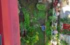 Casa P+1, 280 mp, zona Cantacuzino - 13