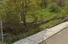 TEREN 500 mp str. Begoniei Piatra Neamt - 1