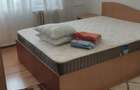 Inchiriez apartament cu 3 camere sector 2 - 13