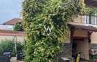 Casa saseasca renovata, cu sura - Seica Mare, Sibiu - 8