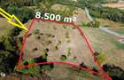 Super view | Teren 8.500 m2 Maramures | Viitorul tau colt de liniste