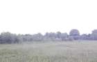 vand teren intravilan, 2550 mp, Magurele, Prahova - 6