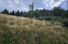 Teren intravilan 5.271 mp cu priveliște spectaculoasă – Gârda de Sus, Snide - 5