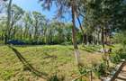 Apartament cu 2 camere decomandat în Neptun - 2