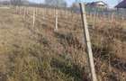 Teren în Valea Călugărească - 7