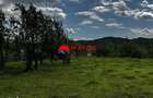 Teren construibil 5.164 mp | Brebu Megiesesc, Prahova | Dublu acces | - 1