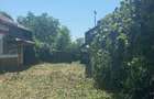 Casă individuală cu 3 camere cu Teren 2873 Mp în Podu Rizii - 2