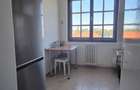zona Iulius Mall-str Popa Sapca, mobilat, utilat complet - 10