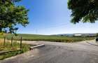 5 loturi casa Maierus,1.375mp,langa DN13, Doripesco,Brasov: 35min, zona verde:FI