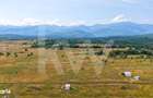 Teren cu priveliste spectaculoasa spre Muntii Fagaras- Valea Avrigulu - 12