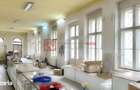 SPATIU COMERCIAL 161 MP | CENTRUL ISTORIC - 2