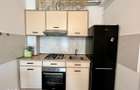 Apartament de inchiriat, 2 camere, semidecomandat, Lunca Cetatuii - 3